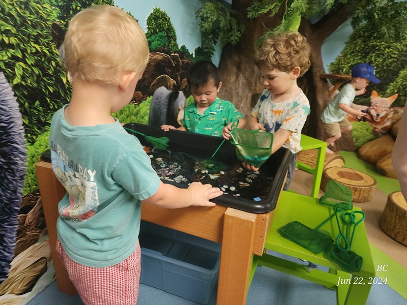 Animal Habitats