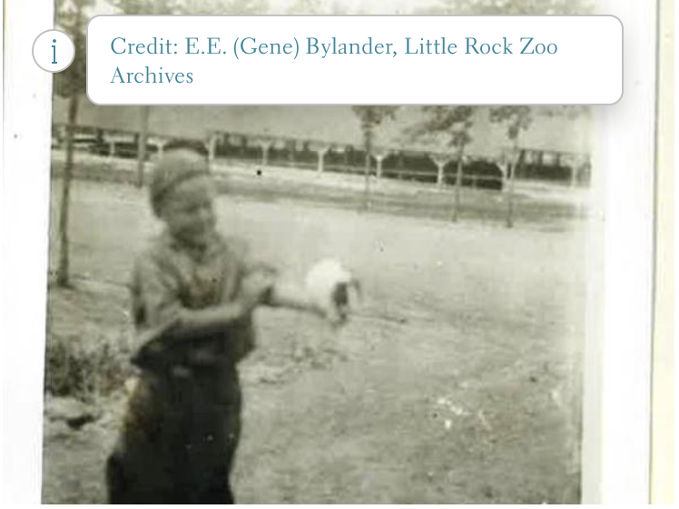 Murray Bylander, 8, in front of first Zoo building, 1925.