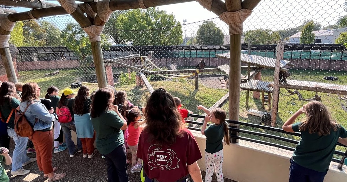 Meet Our Elephants